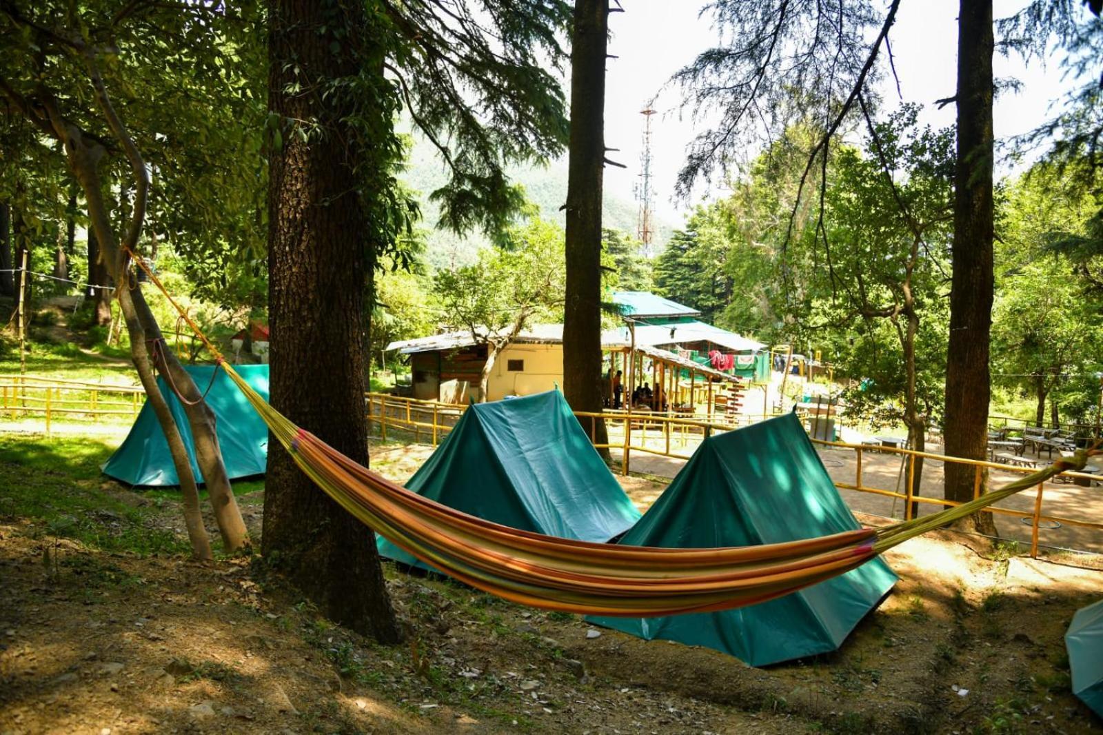 Himtrek Stays,Mcleodganj McLeod Ganj Esterno foto